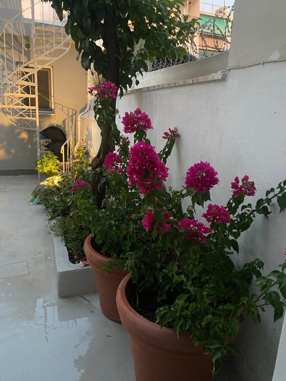 Alexandra Apartment Athens Exterior photo